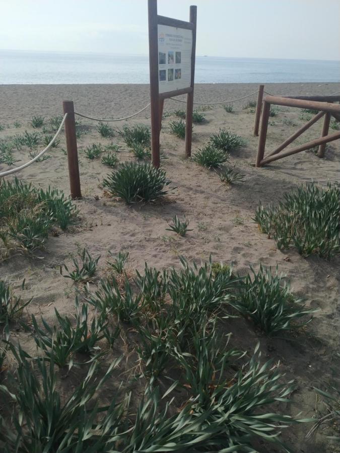 Suites Beach Nature Велес-Малага Екстериор снимка